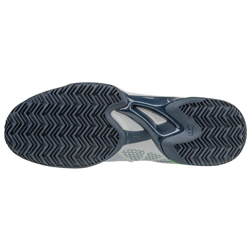 Buty do tenisa Wave Exceed Tour 2 CC białe 2017